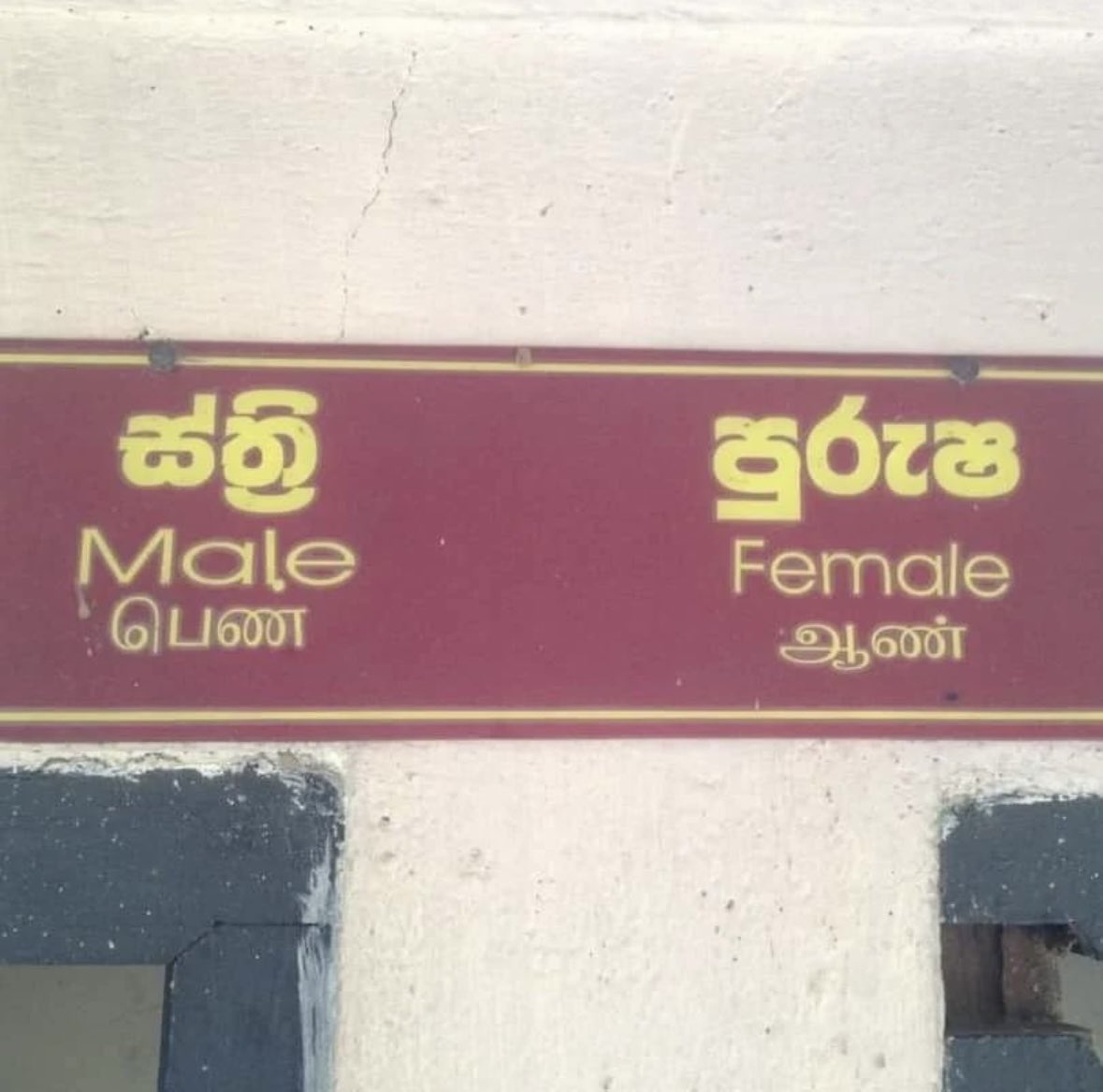 NayanaGeneva's tweet image. This image shows how Sri Lanka introduced gender neutral toilets way before the West. I mean look at this 🤦🏽‍♀️🤦🏽‍♀️🤦🏽‍♀️😂😂😂. Wonder if the Tamil words are accurate and if they leave people even more confused. 🤪😂😂😂. #lol #funny #humanerror #srilanka #LKA #lka #publictoilet #humour…
