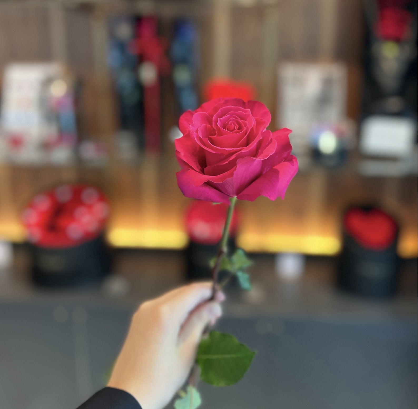 ROSE GALLERY／ ローズギャラリー on X: 