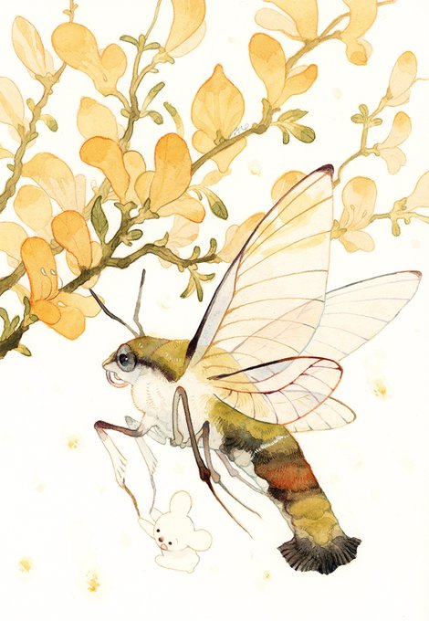 「bug white background」 illustration images(Latest)