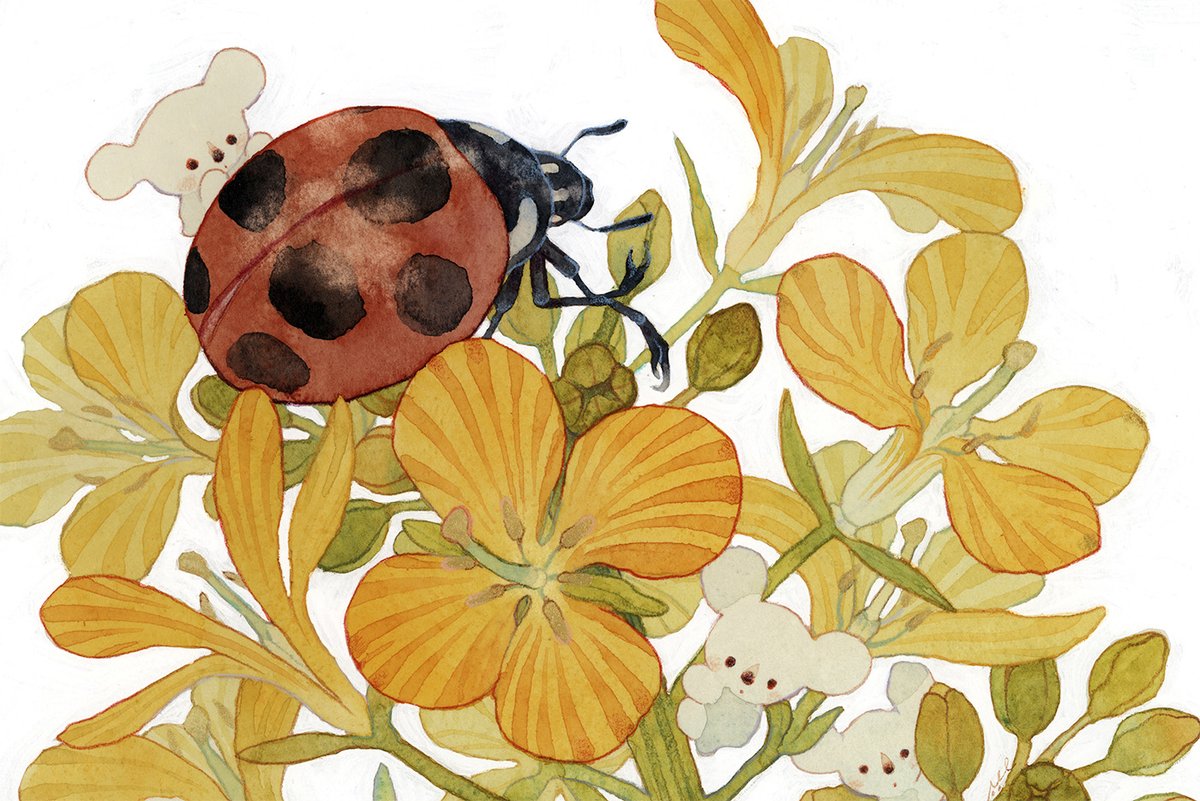 miyutaeokiba's tweet image. #虫の日