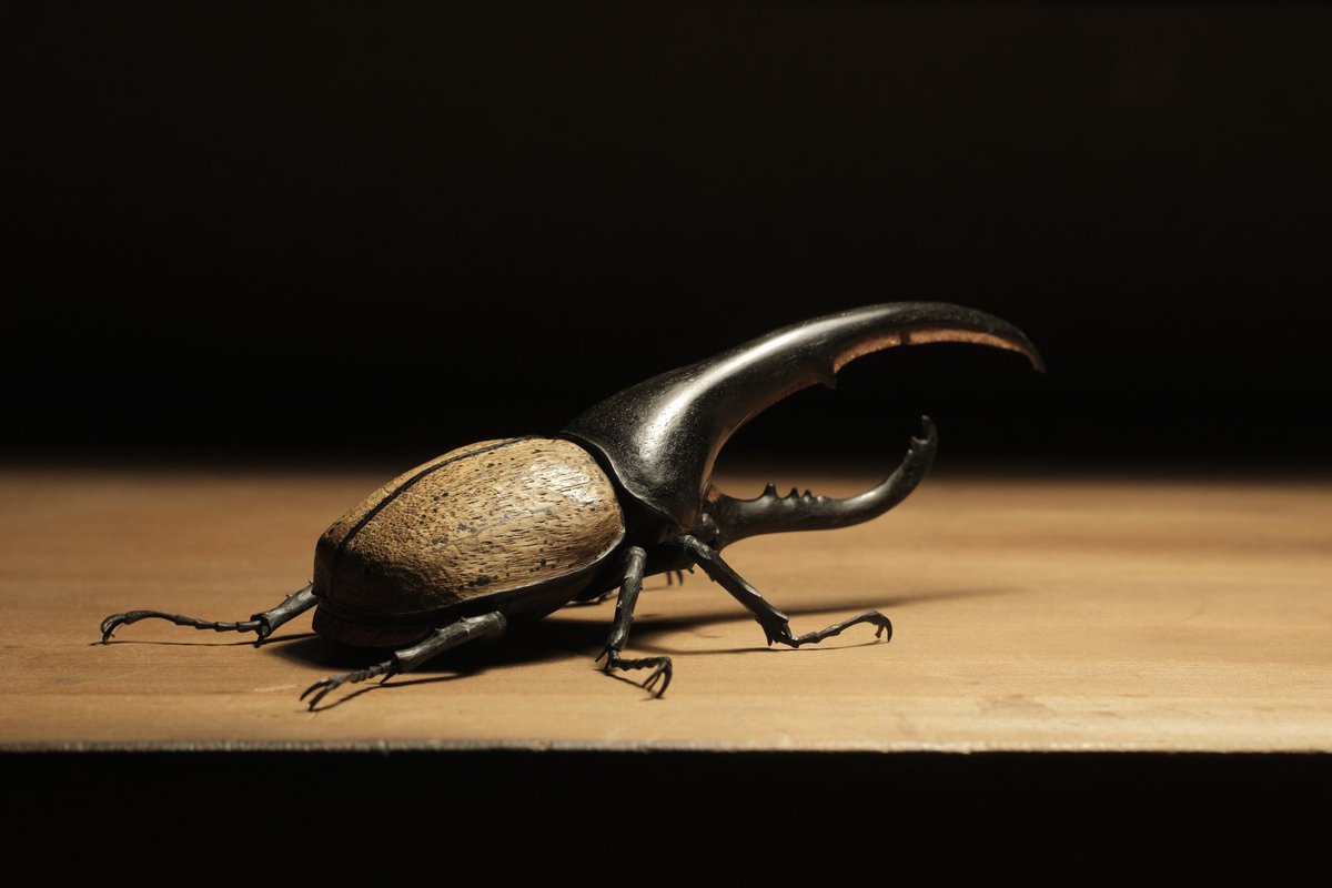 #虫の日 という事で…
木彫りのヘラクレスオオカブトです！

着色をしない天然木のみによる木彫作品です。