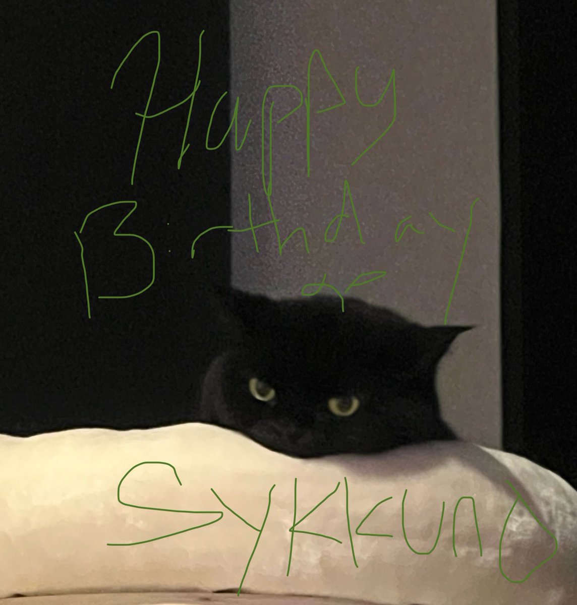 <a href="/Sykkuno/">Sykkuno</a> 🥳 HAPPY BIRTHDAY 🌱