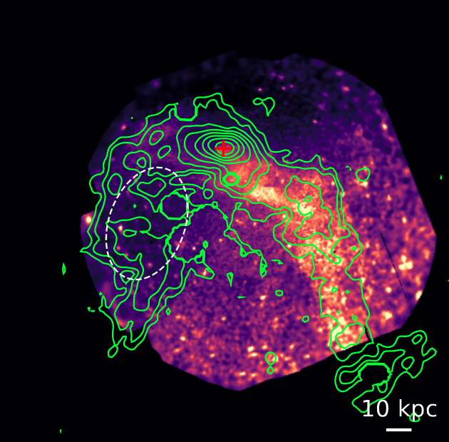 Our paper on Virgo Cluster AGN, lead by Hamburg student Angelina Spasic, was accepted today!
This includes an analysis of the infalling giant elliptical M49, where we discovered a stunning superposition of the western radio and X-ray tail.
--&gt; arxiv.org/abs/2406.00781