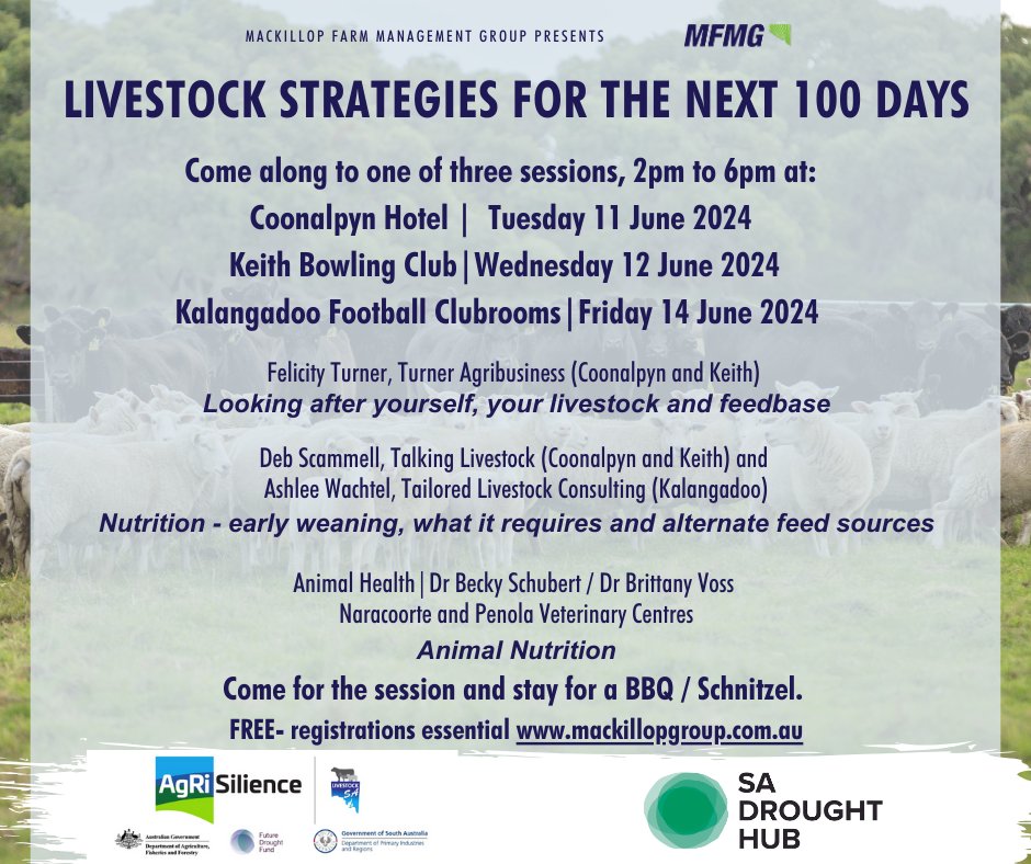 MacKillopGroup's tweet image. NEXT WEEK: Join a session and hear from topic experts on strategies for going forward. Stay for a BBQ / Schnitzel, speak to the presenters and catch up with others. Reg essential mackillopgroup.com.au
@Livestock_SA @SADroughtHub #MFMG #AgExtension