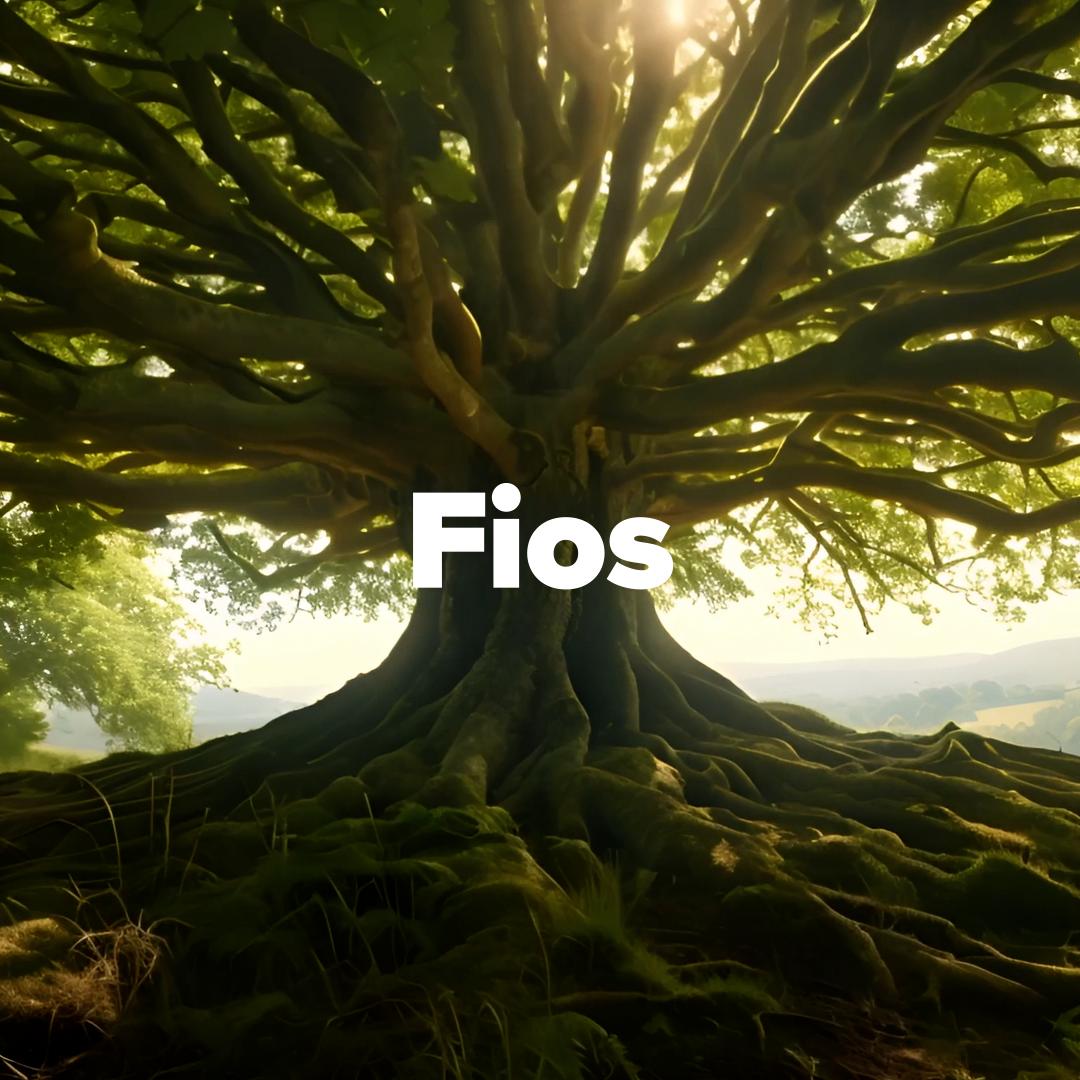 An bhféadfá a bheith ar an gcéad Stiúrthóir Ealaíne nó Stiúrthóir Feidhmiúcháin eile d’Amharclann Náisiúnta na Gaeilge?

Tuilleadh eolais ag antaibhdhearc.com/earcaíocht
#jobfairy #síognabpost