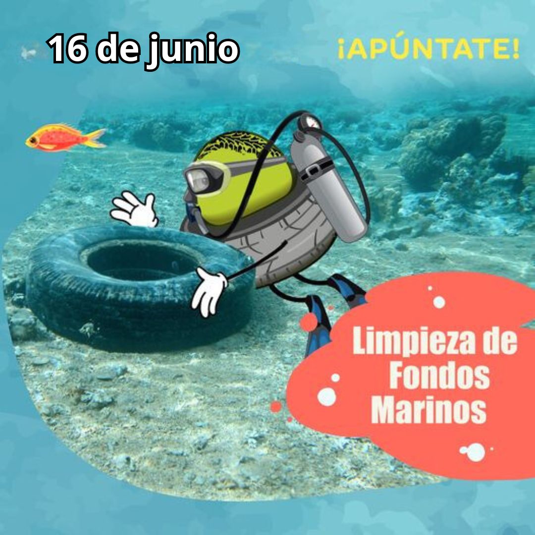 Ayúdanos en la Limpieza de Fondos Marinos SIGNUS ¡Necesitamos voluntarios! Si quieres participar como buceador/a: escribe a buceo@buceogalicia.com Si quieres participar como voluntaria/o en tierra, inscríbete aquí ow.ly/XgWA50RYrQw 📆 Domingo 16 de junio del 2024 📍A Coruña