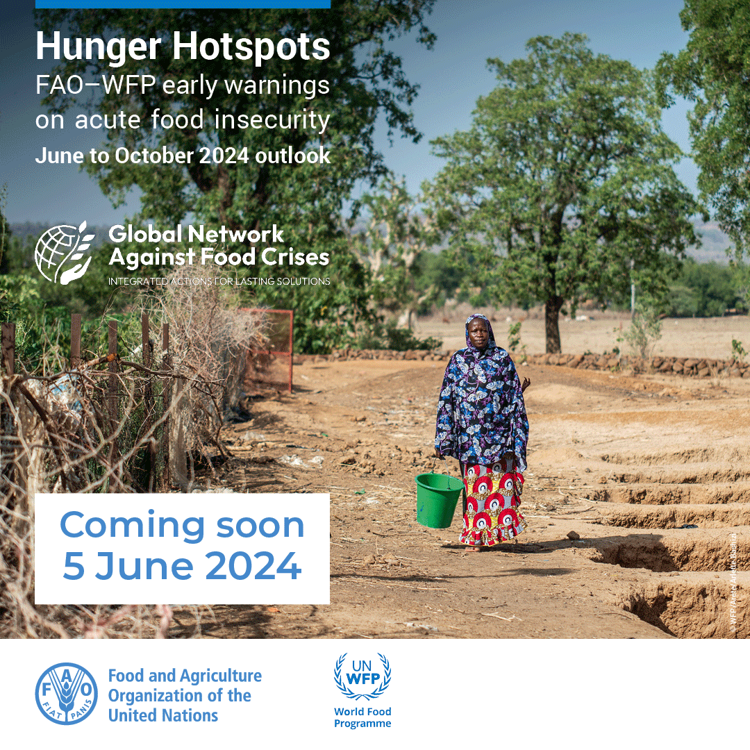 Global Network Against Food Crises (@fightfoodcrises) on Twitter photo STAY TUNED ‼️ The <a href="/FAO/">Food and Agriculture Organization</a>-<a href="/WFP/">World Food Programme</a> #HungerHotspots June-October 2024 Outlook is launching TOMORROW, June 5.
Dive into the evidence & early warnings on acute #foodinsecurity around the world. Check out past editions 🔗bit.ly/HH_IM. STAY TUNED ‼️ The <a href="/FAO/">Food and Agriculture Organization</a>-<a href="/WFP/">World Food Programme</a> #HungerHotspots June-October 2024 Outlook is launching TOMORROW, June 5.
Dive into the evidence & early warnings on acute #foodinsecurity around the world. Check out past editions 🔗bit.ly/HH_IM.