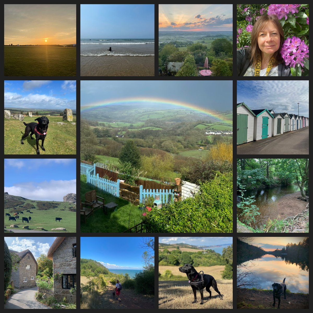 Happy Devon Day to those who celebrate! We are the luckiest people alive 🌞 🏖️ 🌳 🐑 🐴 🌈 

#StPetrocksDay #Devon #Dartmoor #LoveWhereYouLive