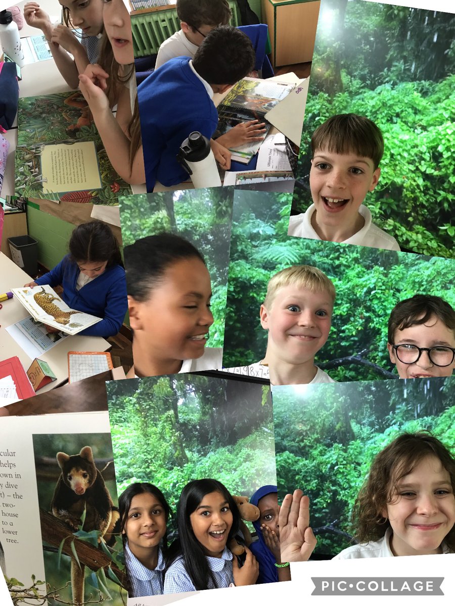 This week we have started our new geography unit; Rainforests. Unfortunately some of our class got caught in the rain! #nurture #learn #geography