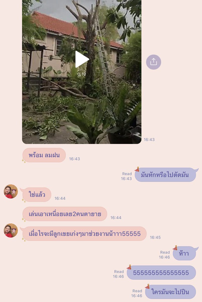 รับสมัครคนตัดกิ่งไม้ให้คุณแม่ 55555555555 https://t.co/949ZAFs55J