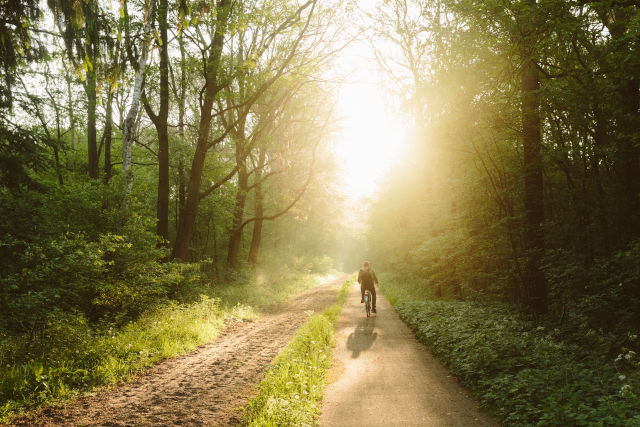 Fietsprovincie Drenthe investeert in 2024 met een nieuwe subsidieregeling 1,5 miljoen euro in het netwerk van recreatieve fietspaden. Hiermee worden verschillende paden opgeknapt zodat ze weer een tijdje mee kunnen. ➡ tinyurl.com/mwzevcms