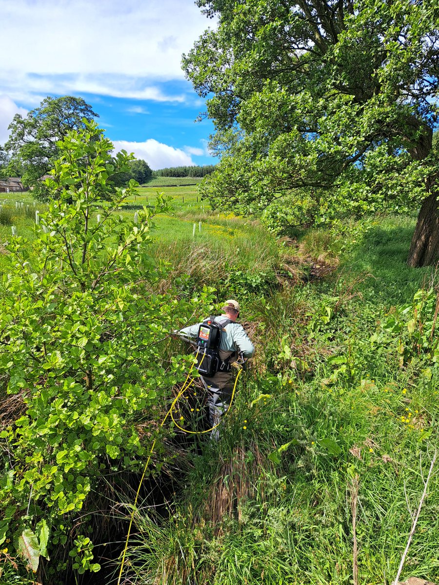 Jonathan Grey tweet media