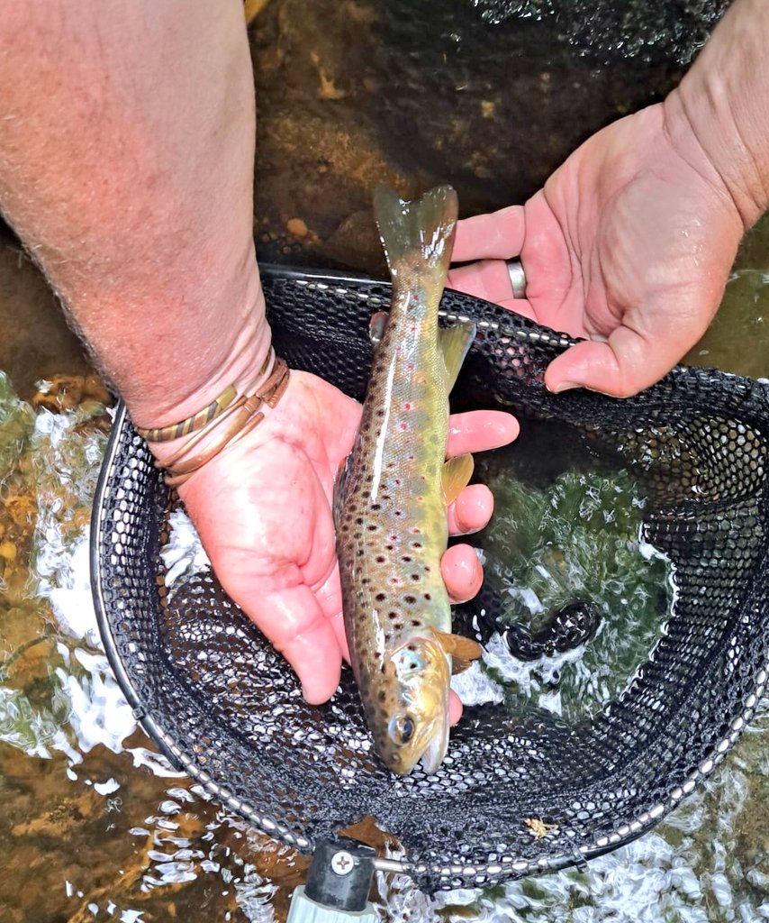 Jonathan Grey tweet media