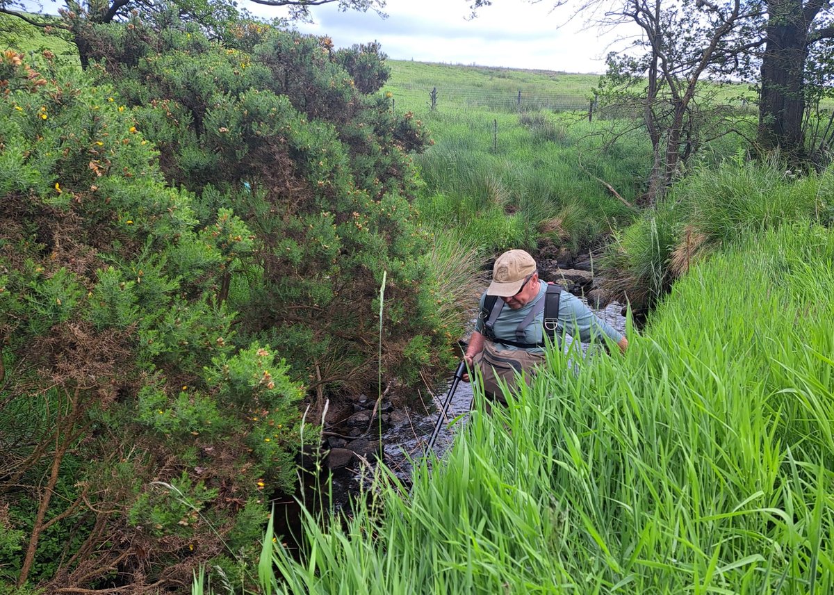 Jonathan Grey tweet media