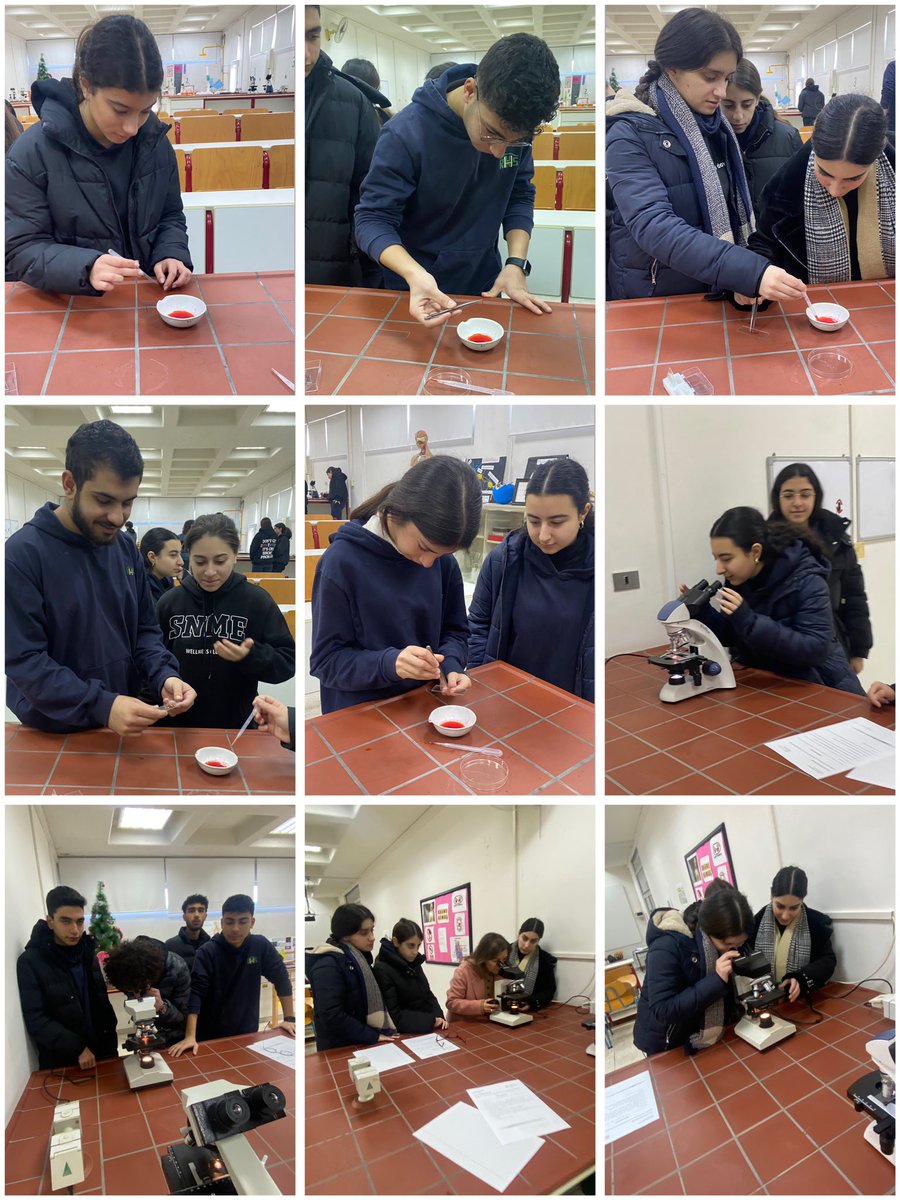 RHHS_BioDept's tweet photo. Mitose d’une cellule végétale préparée par les élèves de ES2 SC. @RHHS_Saida https://t.co/C3TFn3pkeM