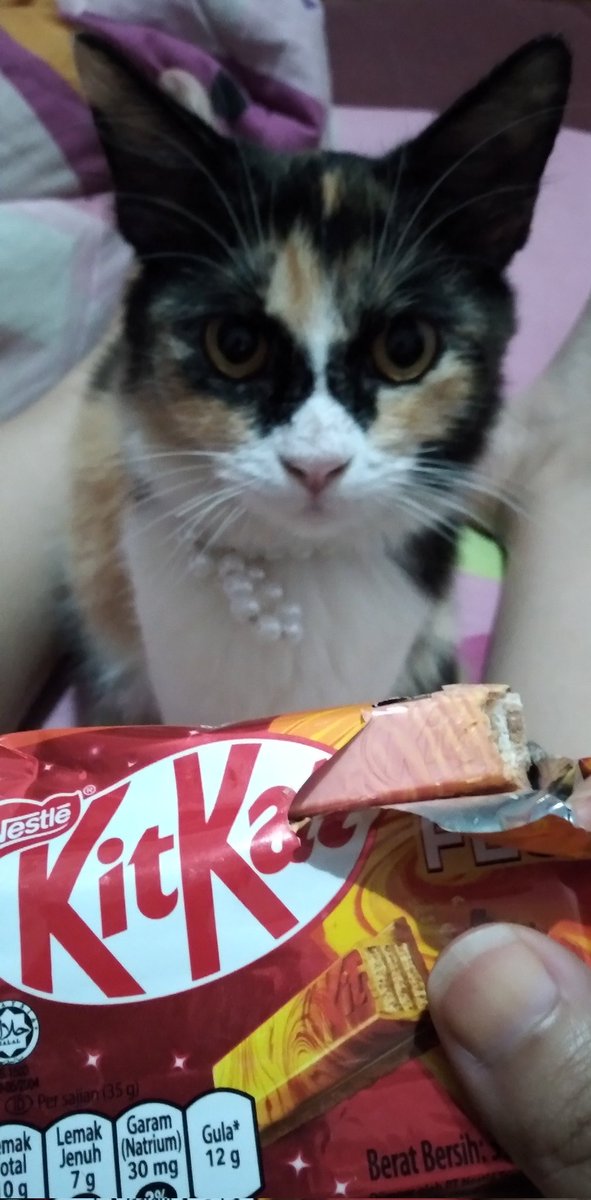 She can't wait to kitkat