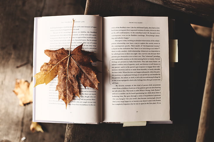 Celebrating #EnvironmentDay with books that inspire a deeper connection to nature and a commitment to protect it. 🌍📚 Check out these must-reads: #SilentSpring, #TheHiddenLifeOfTrees, #BraidingSweetgrass🌿
Read - nas.io/kaleidoscope-i…