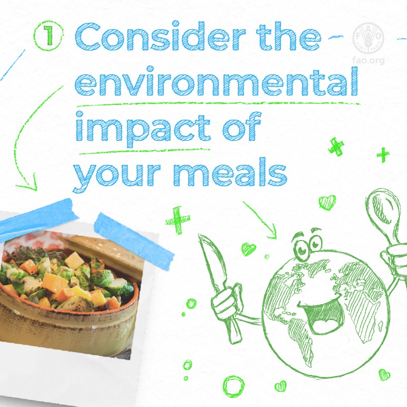 FAO's tweet photo. 3⃣ ways you can help protect our planet 👇

#SDG13 #WorldEnvironmentDay