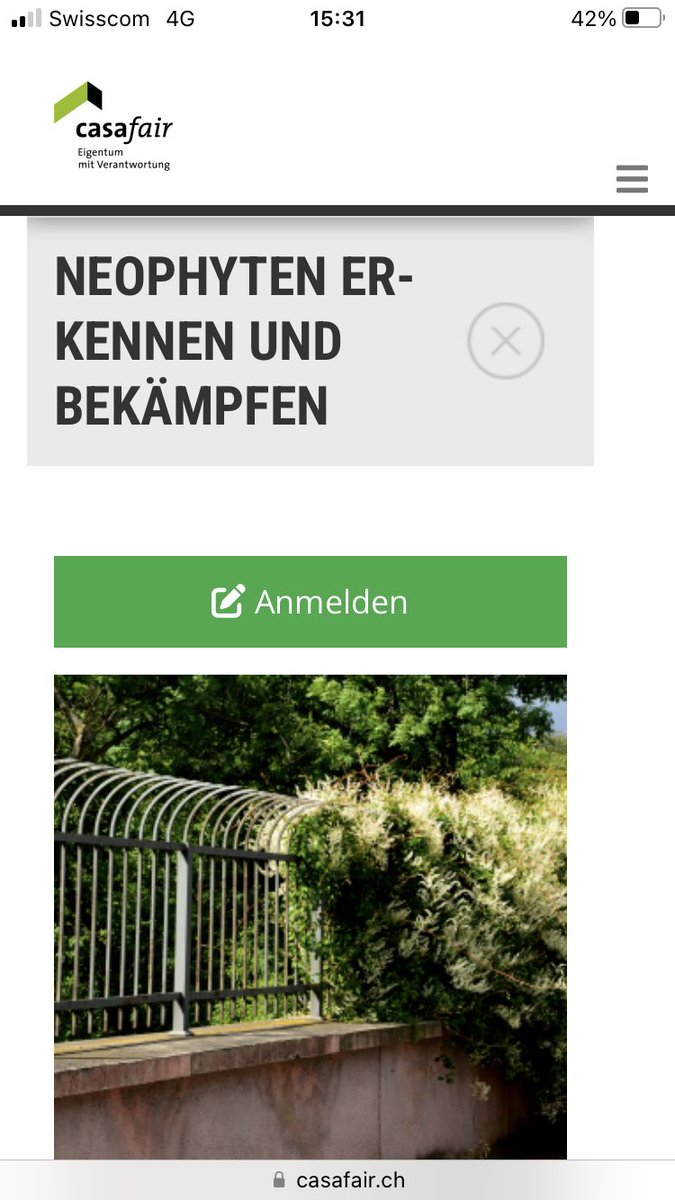 Neophyten nehmen immer mehr Raum ein und verdrängen zum Teil wertvolle Arten. Auch in unseren Gärten lohnt es sich, dennAnfängen zu wehren. Wer sich schlau machen will, kommt nächsten Donnerstag zur Exkursion: casafair.ch/veranstaltunge…
@VerbandCasafair