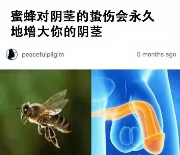 摸金校尉 | 0xBclub | 🔶 BNB tweet media
