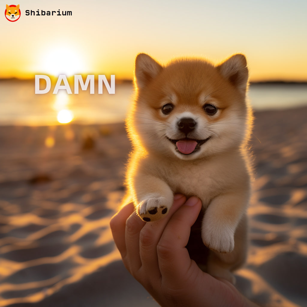ShibsYYDS's tweet photo. @LucieSHIB $DAMN #Solkiller #ShibariumMemeCoin https://t.co/KppQFjlH69