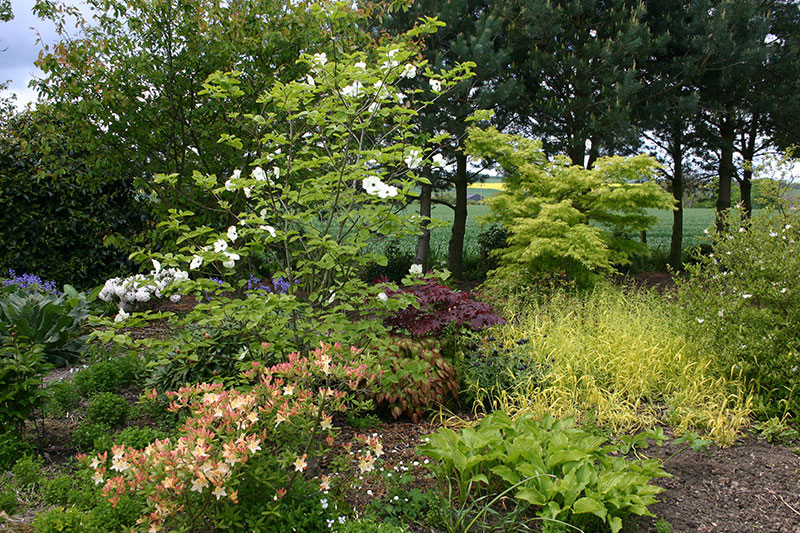 Save the Children Scotland tweet media