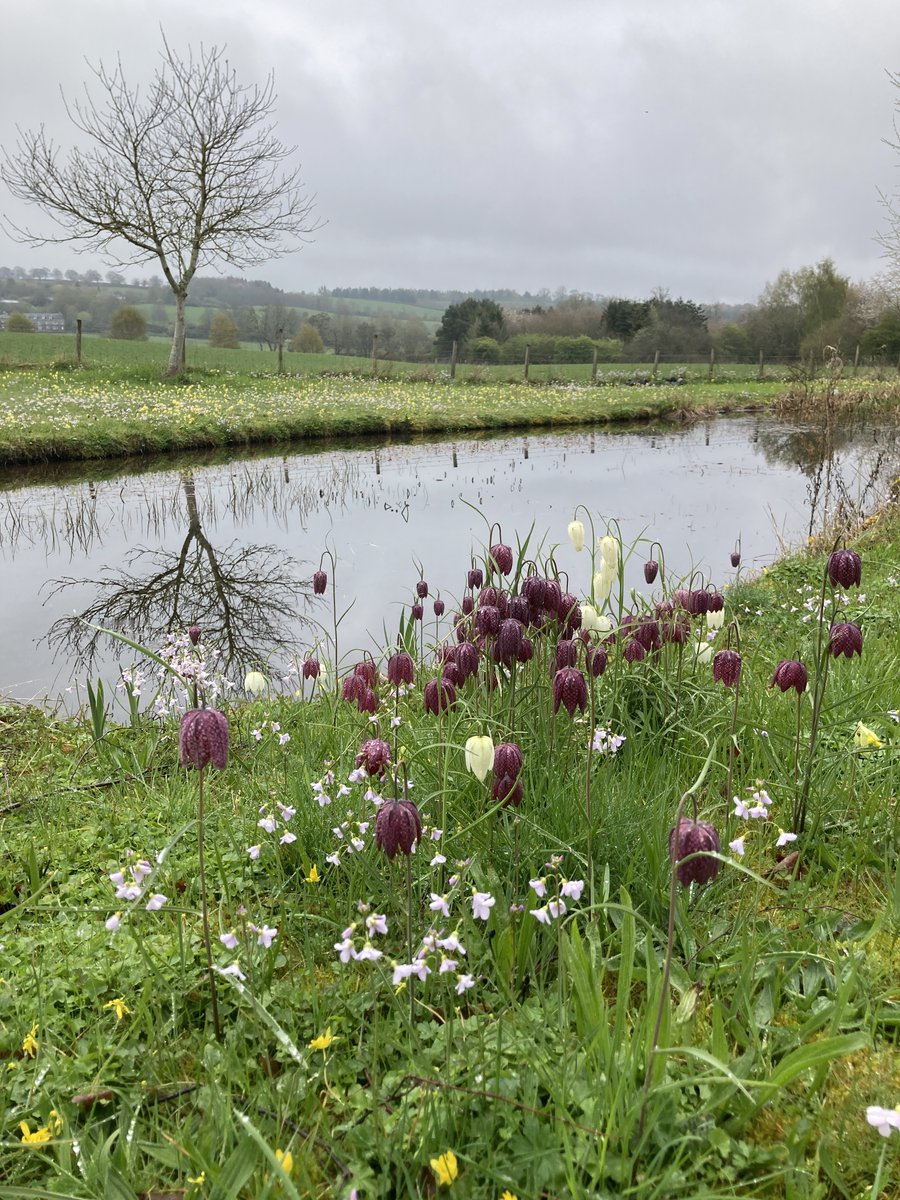 Save the Children Scotland tweet media