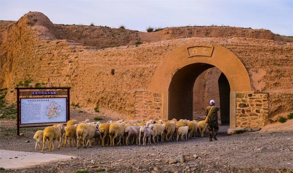 GlobalEchoes829's tweet image. In summer,  Yongtai Ancient City in JIngtai County is shining at the sunset🌟🌟

#chinagansushow #chinatravel #ancientruins #大美中国 #名胜古迹