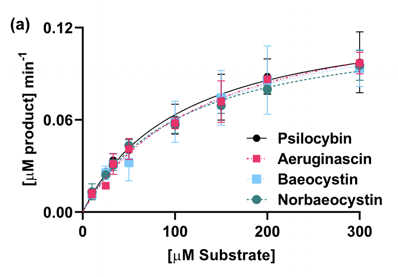 alieninsect's tweet image. Evidence for a possible "entourage effect" in Psilocybe mushrooms? 

A brand new paper studied the four main tryptamines found in Psilocybe mushrooms (as well as their "active" dephosphorylated forms) with the aim of characterising their chemical and biological effects...

It's…