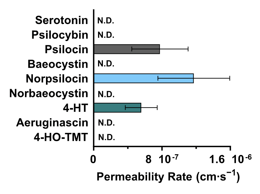 alieninsect's tweet image. Evidence for a possible "entourage effect" in Psilocybe mushrooms? 

A brand new paper studied the four main tryptamines found in Psilocybe mushrooms (as well as their "active" dephosphorylated forms) with the aim of characterising their chemical and biological effects...

It's…