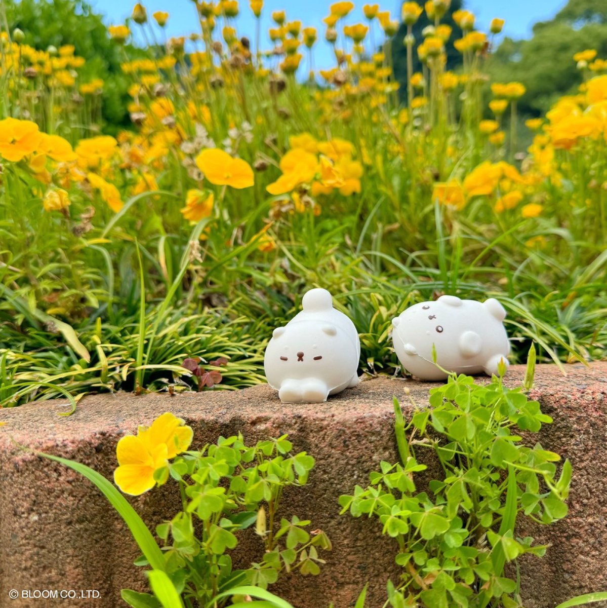 マシュマロいぬ