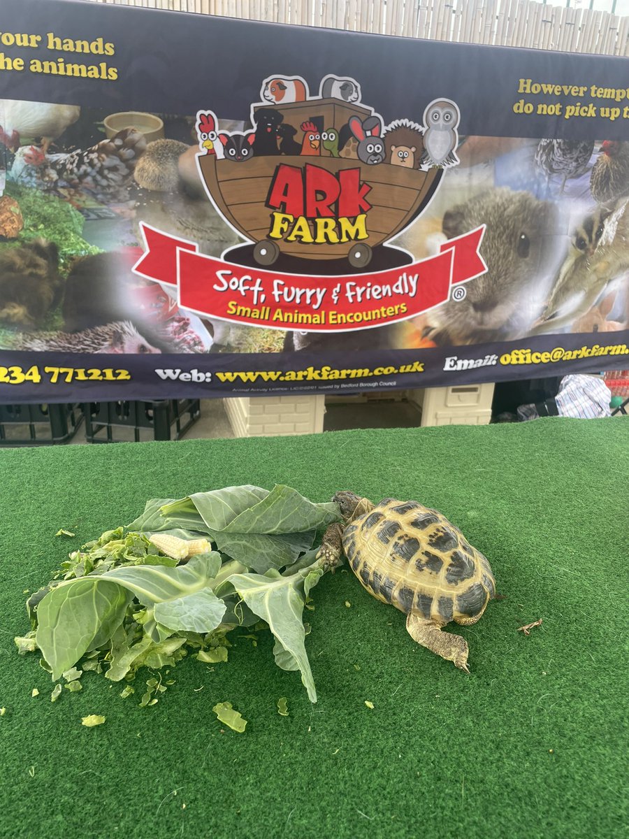 Reception Chantry Primary Academy tweet media