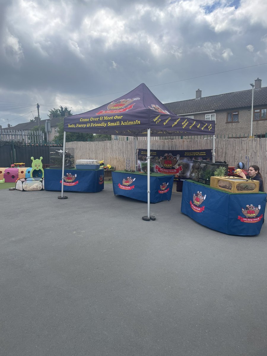 Reception Chantry Primary Academy tweet media