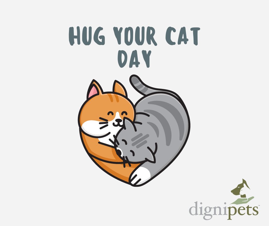 dignipets tweet media