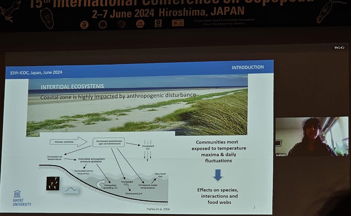 Anna-Maria Vafeiadou tweet media