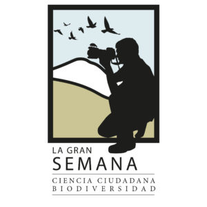📢Impresionantes resultados de "La Gran Semana 2024" 💪👏
🐸¡Más de 4000 especies!
📸¡Más de 38000 observaciones!
💃🕺¡Más de 1200 participantes!

Todos los resultados pueden verse aquí:
observation.org/bioblitz/categ…
🕷️🦎🪱🦟🦋🐚🌼🪷
#CienciaCiudadadna #Biodiversidad #LaGranSemana2024