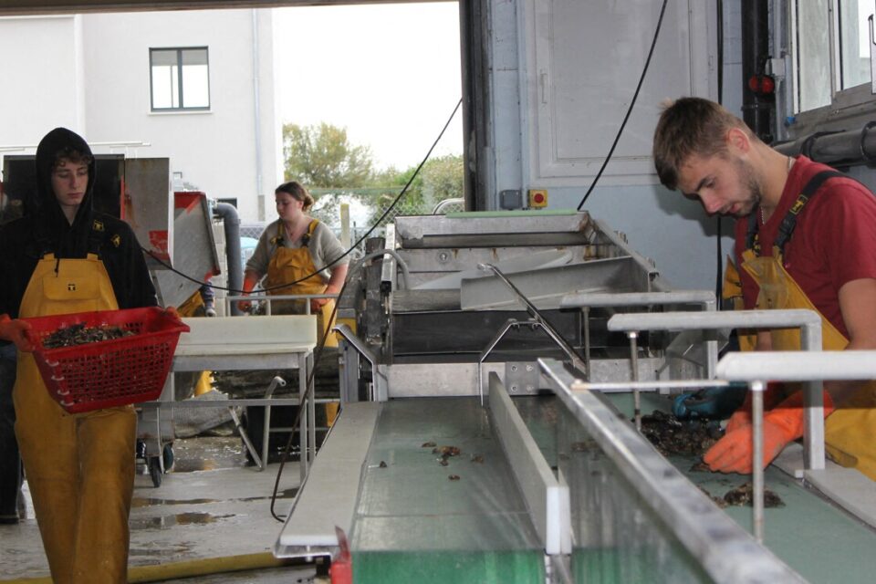 Alexandra Segond tweet media