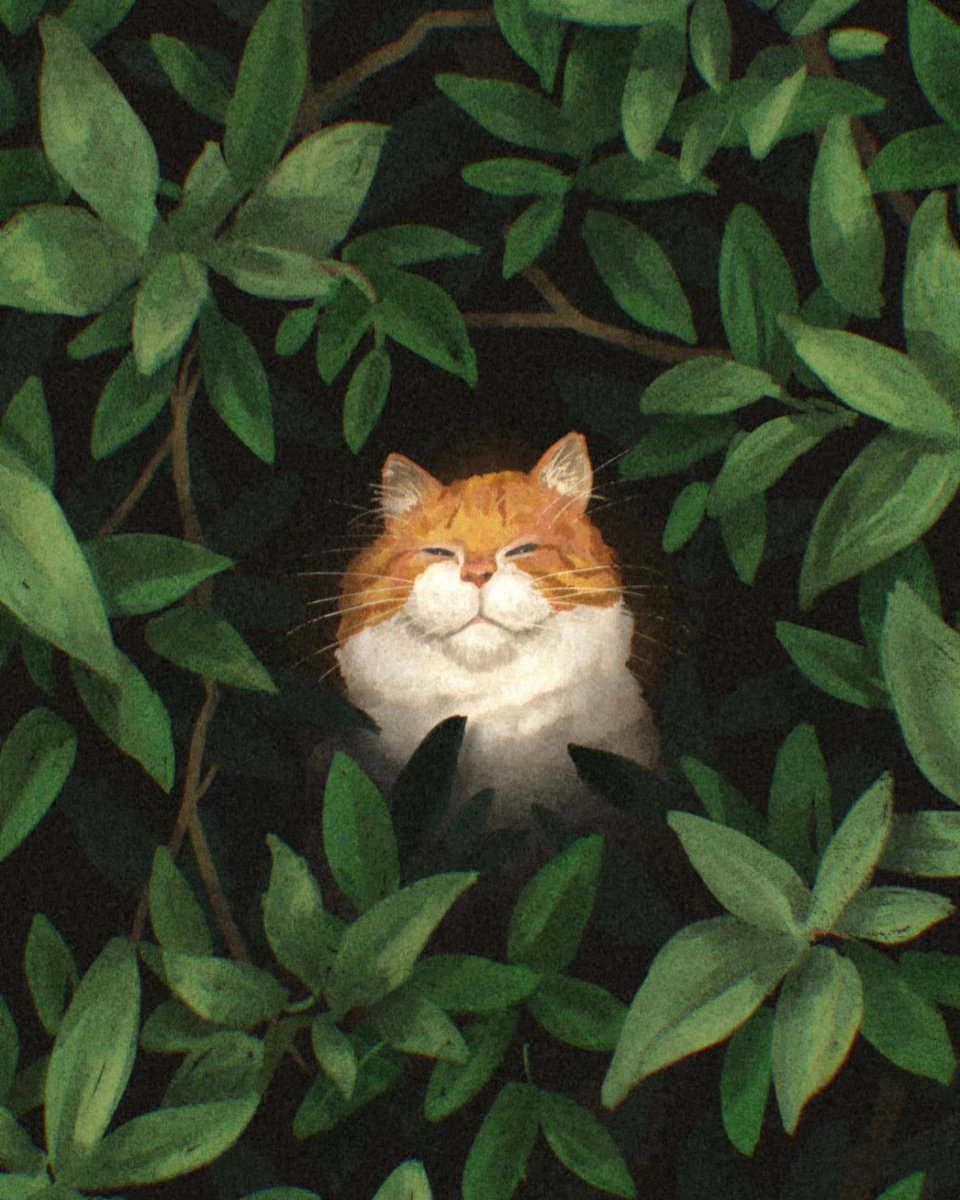 🌿🐱🌿
#cat #orangecat #illustration #digitalpainting #plants