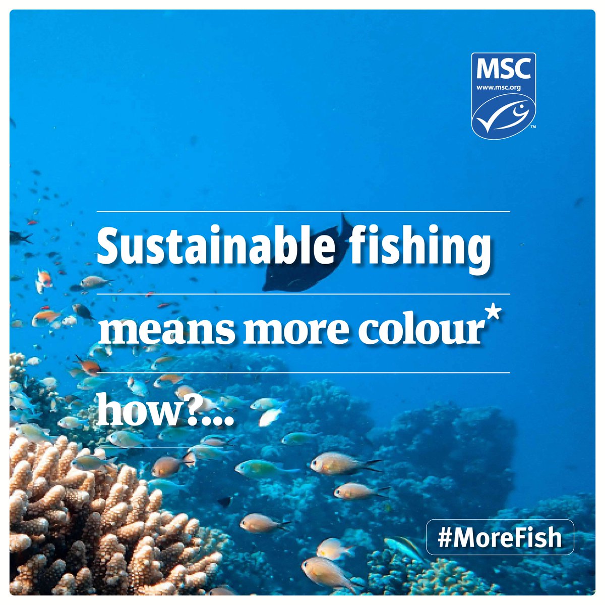 Marine Stewardship Council tweet media