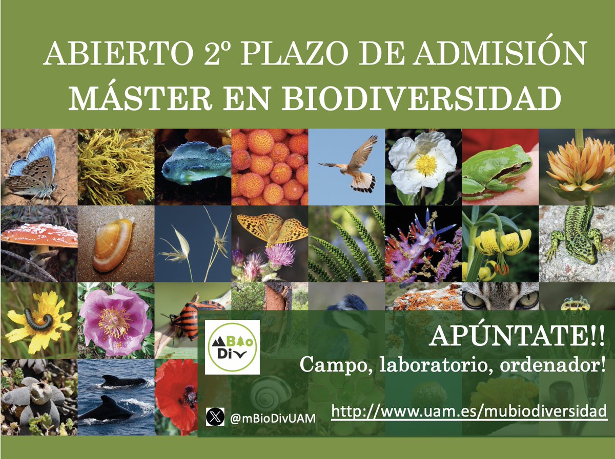 📢📢ya está ABIERTO el SEGUNDO plazo de admisión del Master en Biodiversidad de la UAM📢📢. Aunque este plazo cierra el 2 de septiembre, no esperes más!!! El curso COMIENZA el lunes 9 de SEPTIEMBRE. Toda la información  👇(🧵1/4)