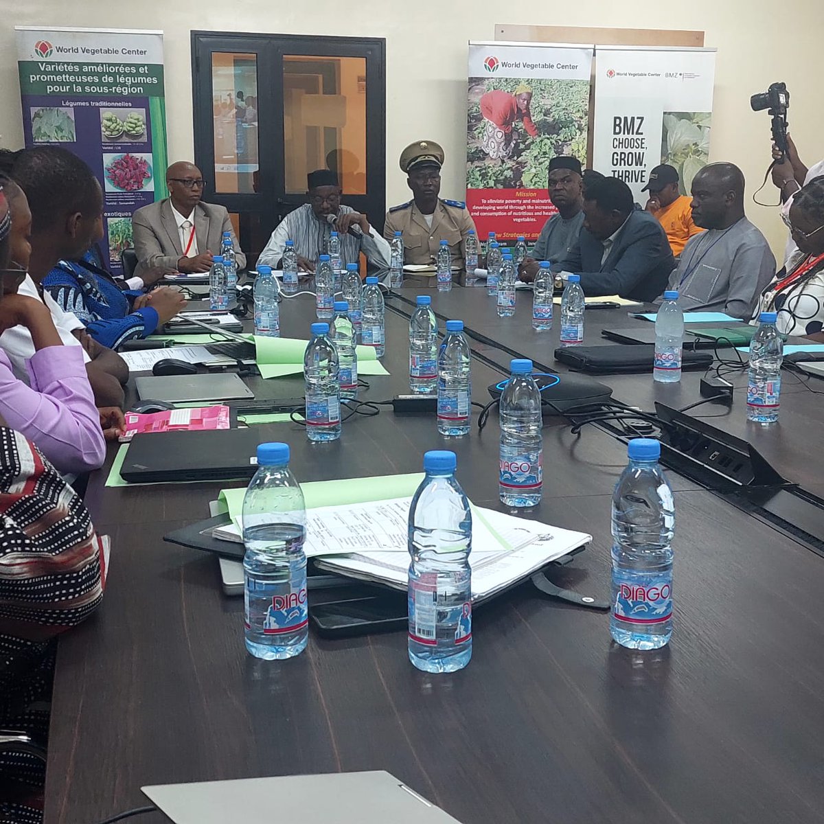 WorldVeg (West and Central Africa) tweet media