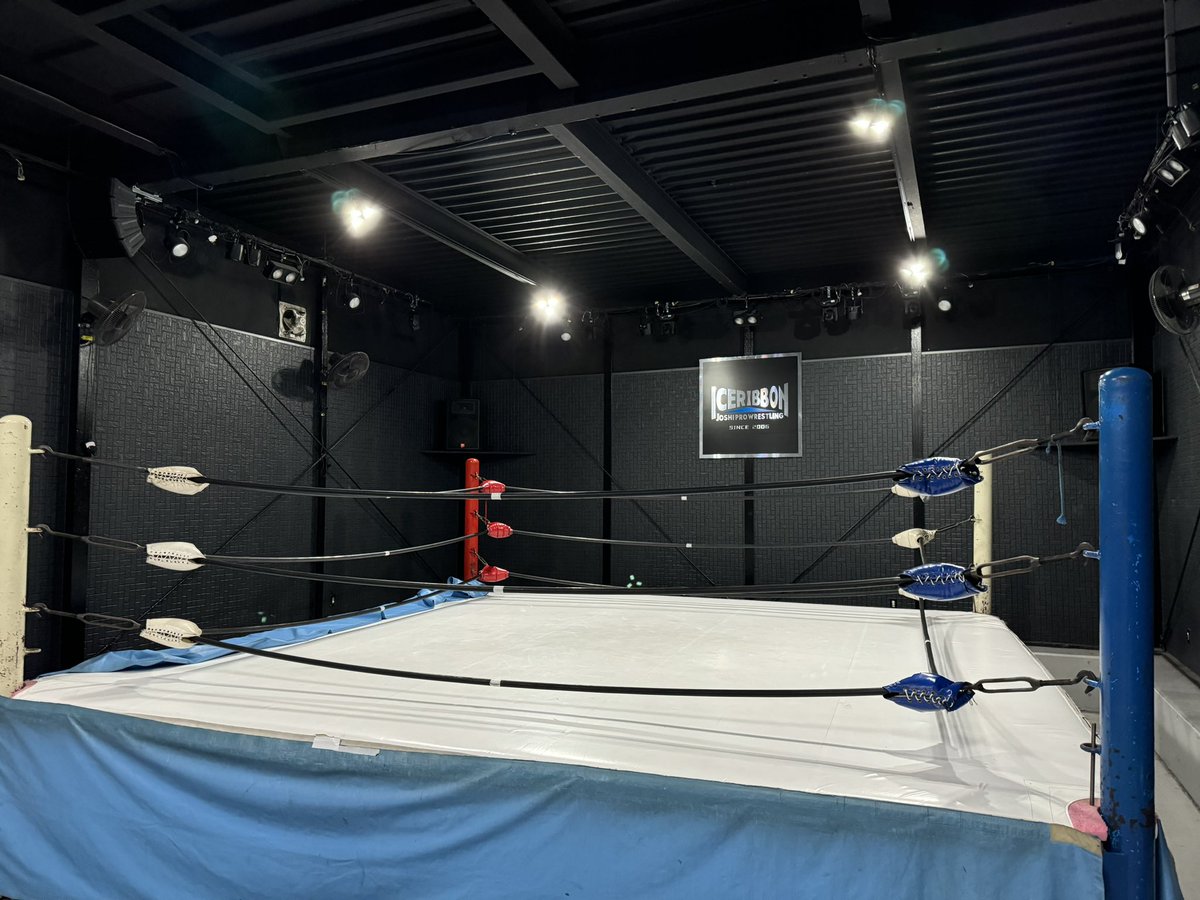 arashi_luchador's tweet photo. 練習終了

色々一緒に分析してくださる先輩がいて、それを一緒に練習してくださる先輩がいる環境！大変感謝致します！！いつもありがとうございます！！✨

#luchafit #覆面MANIA https://t.co/jbQbTqLHLp