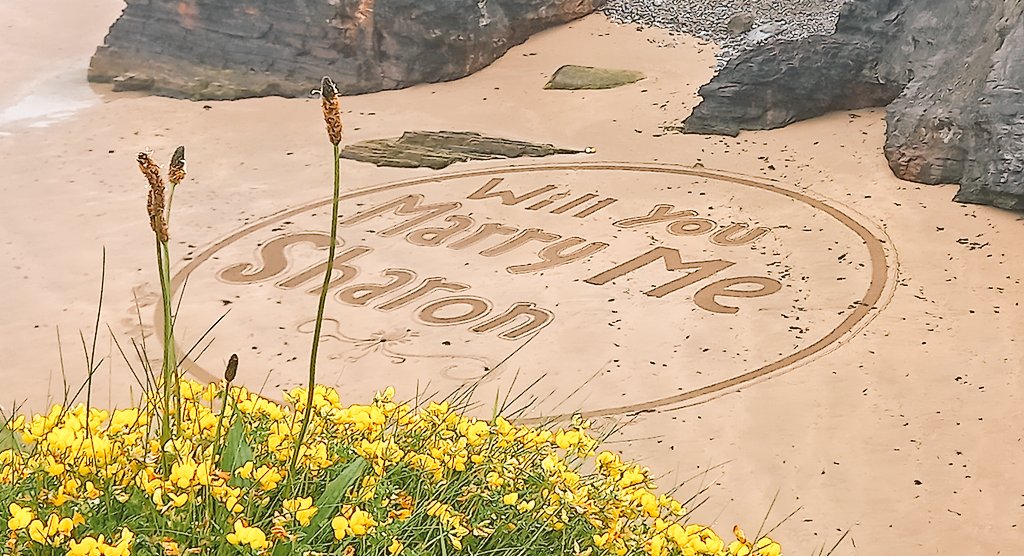 champagne_air's tweet photo. #kerry #ballyb #Ireland #sandstra #Kerrywedding https://t.co/rCtflsmpzl