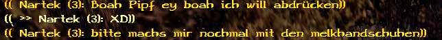 Was will der Sumpfnovize von mir? <a href="/orkschamane/">Ur-Shak der Orkschamane</a>