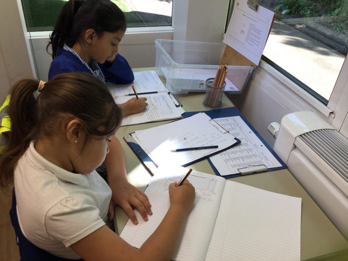 Learning Naturally at Beddington Infants' School tweet media