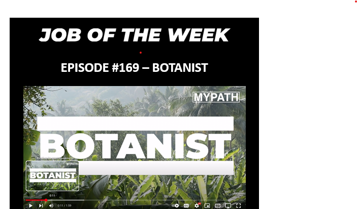 EBA Careers tweet media