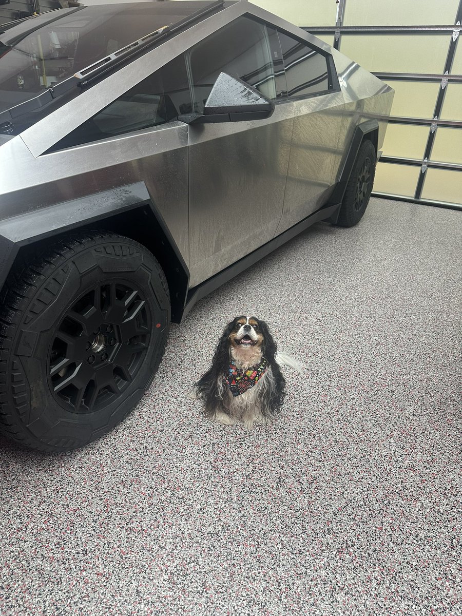 StargazerPlaid's tweet photo. We welcomed “Elektra” the Cyberbeast to our family yesterday. This thing blew away all our expectations. @cybertruck @tesla @elonmusk @wholemars @thecybersurg @FthePump1 @dictionaryhill @SawyerMerritt @greggertruck @BLKMDL3 @chuckcook @EZebroni https://t.co/Xalpqbhg4x