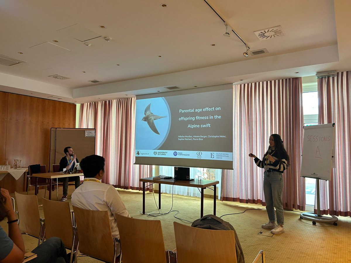 EMPSEB 31 tweet media