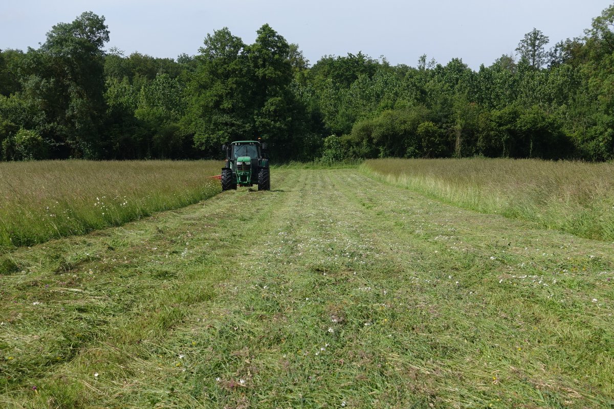 Ferme expérimentale de Thorigné d'Anjou tweet media
