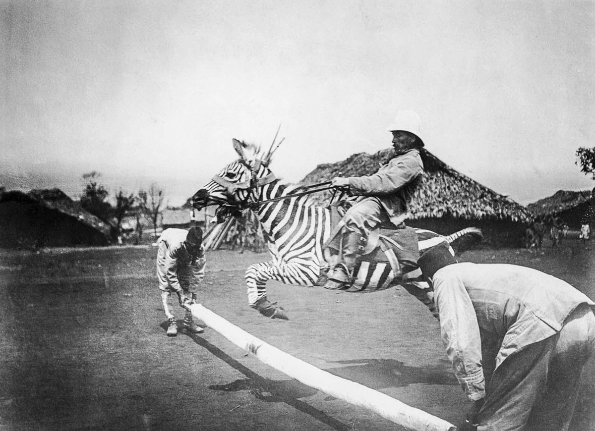 EarthHistoryPix's tweet photo. A German colonial officer leaps over the back of a tame zebra in German East Africa, 1910. From u/grass_elizabethxo https://t.co/3lygllDude